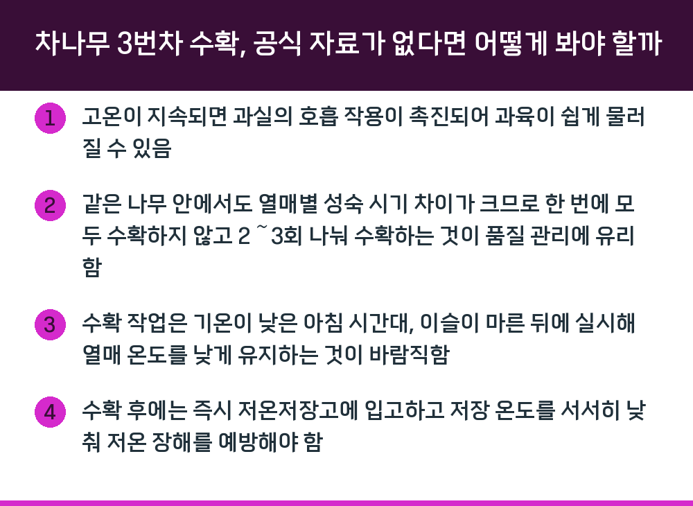 차나무 3번차 수확, 공식 자료가 없다면 어떻게 봐야 할까