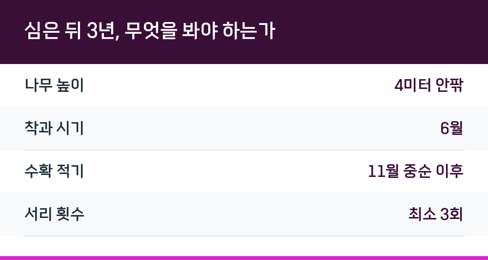 심은 뒤 3년, 무엇을 봐야 하는가
