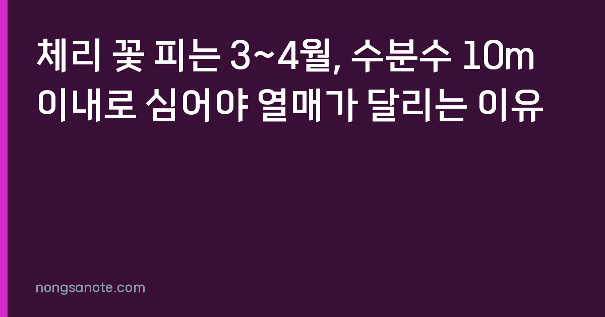 체리 꽃 피는 3~4월, 수분수 10m 이내로 심어야 열매가 달리는 이유