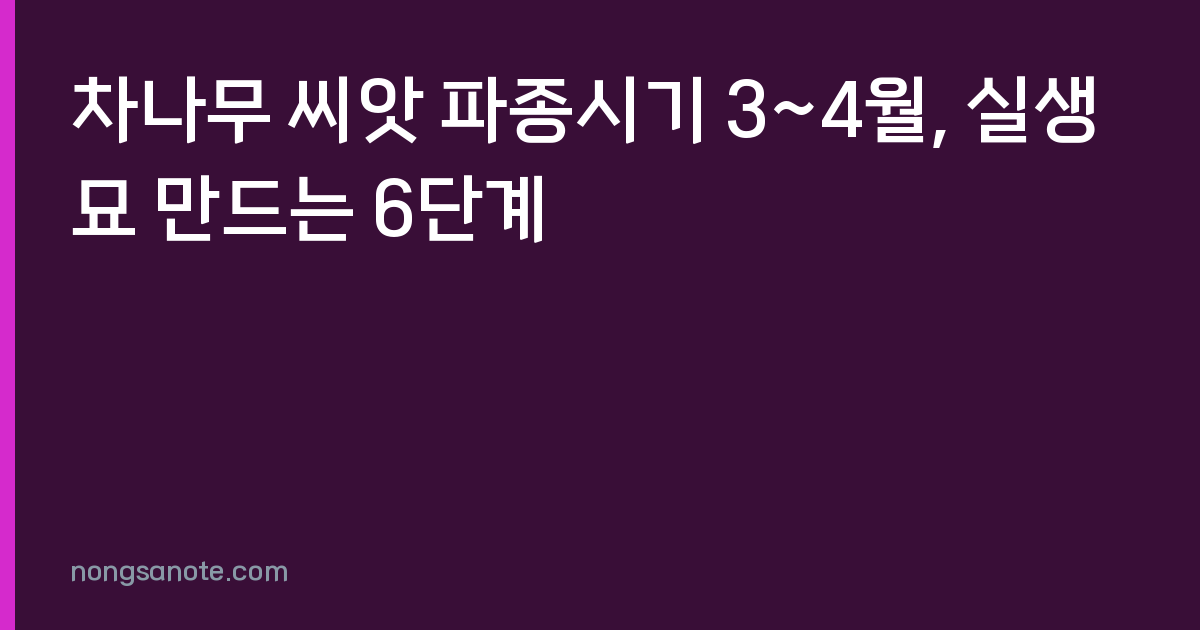 차나무 씨앗 파종시기 3~4월, 실생묘 만드는 6단계