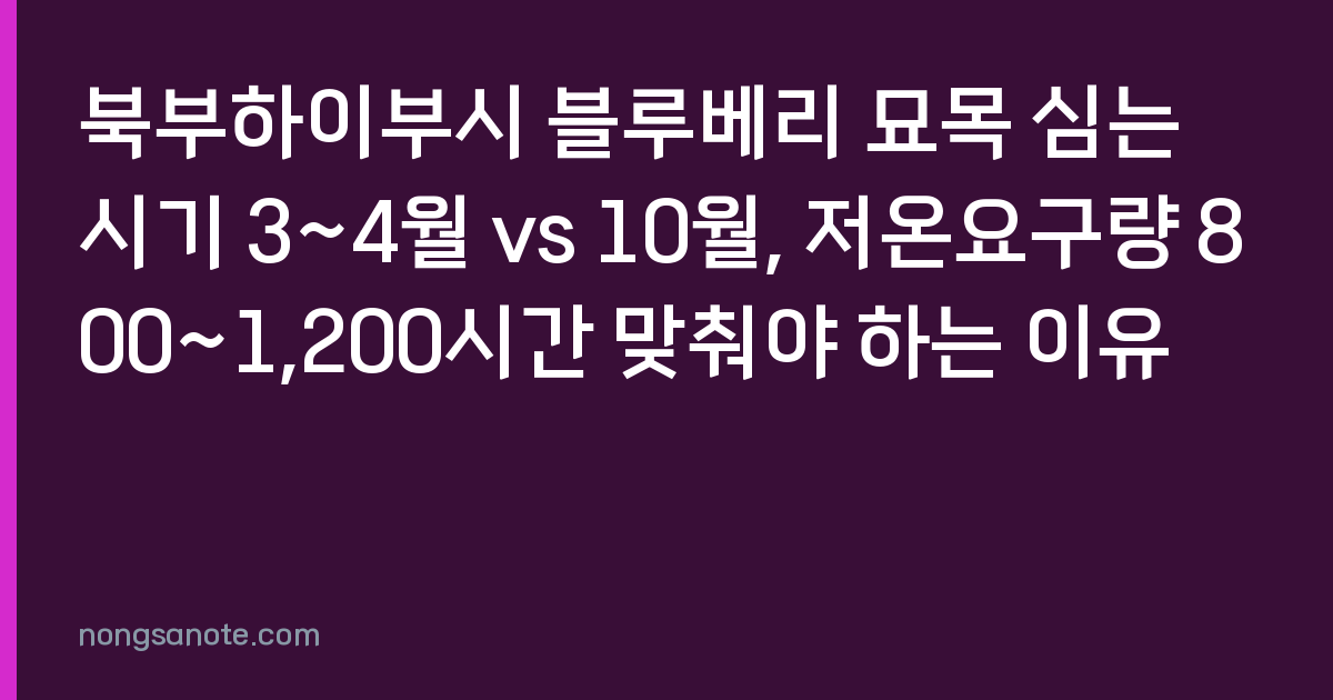 북부하이부시 블루베리 묘목 심는 시기 3~4월 vs 10월, 저온요구량 800~1,200시간 맞춰야 하는 이유