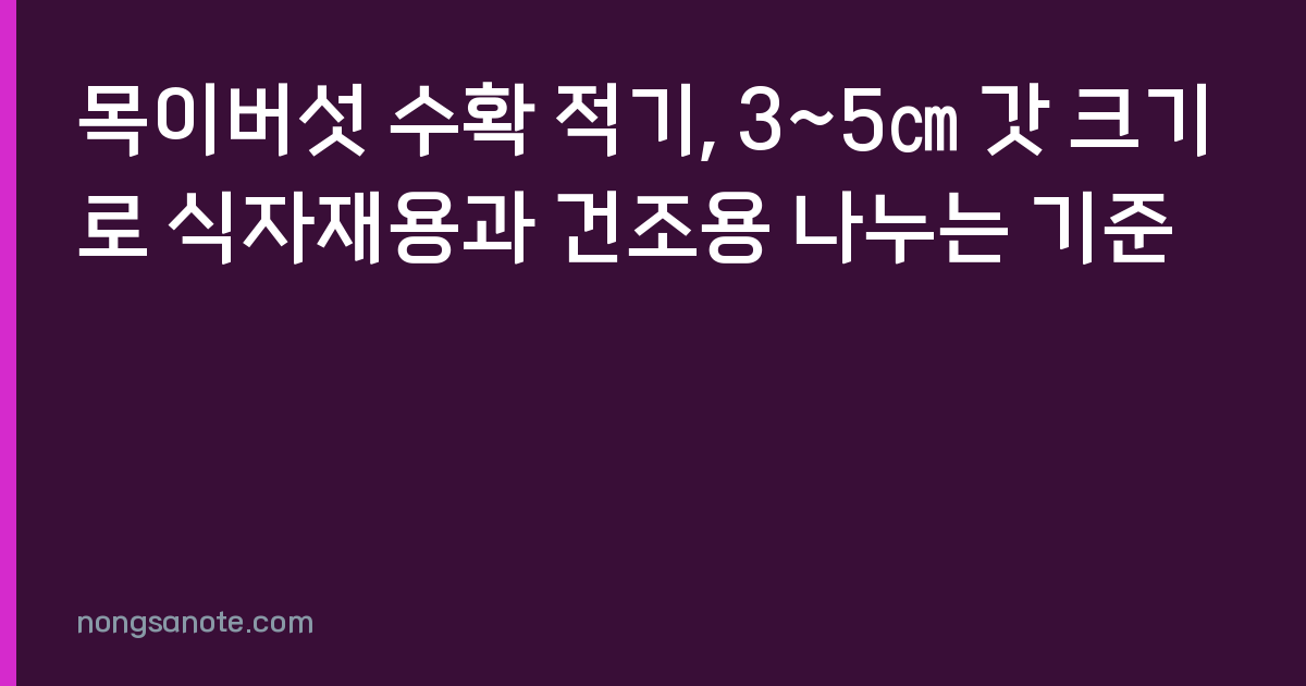 목이버섯 수확 적기, 3~5㎝ 갓 크기로 식자재용과 건조용 나누는 기준