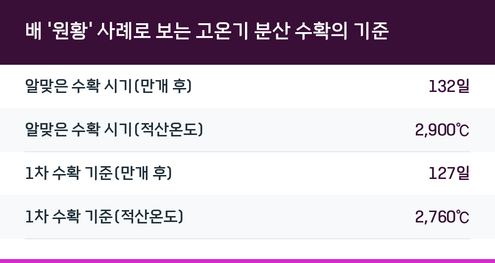 배 '원황' 사례로 보는 고온기 분산 수확의 기준