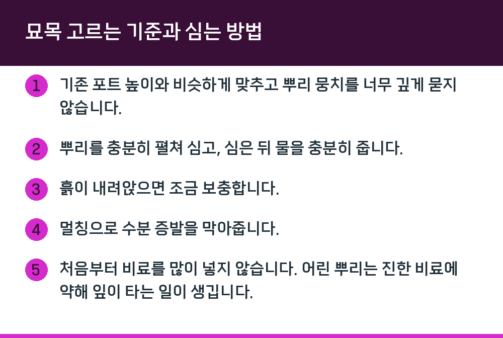 묘목 고르는 기준과 심는 방법