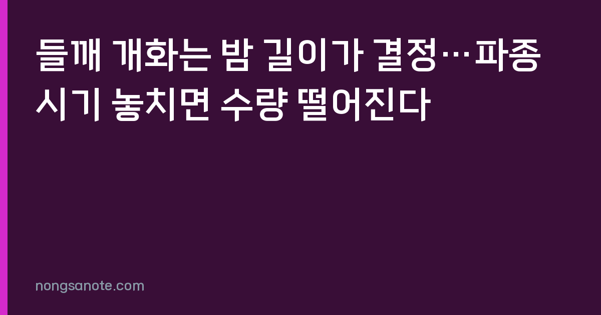 들깨 개화는 밤 길이가 결정…파종 시기 놓치면 수량 떨어진다