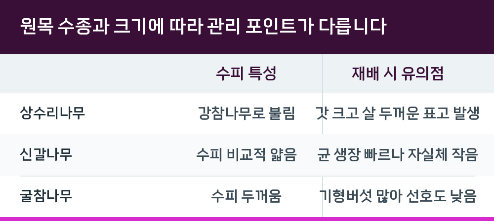 원목 수종과 크기에 따라 관리 포인트가 다릅니다