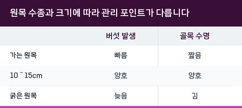 원목 수종과 크기에 따라 관리 포인트가 다릅니다