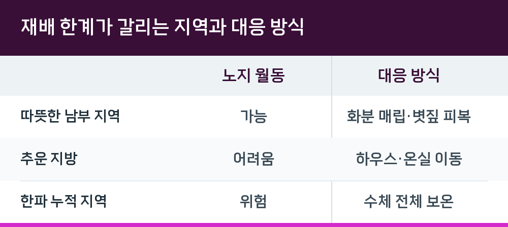 재배 한계가 갈리는 지역과 대응 방식