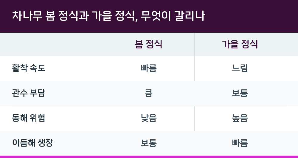 차나무 봄 정식과 가을 정식, 무엇이 갈리나