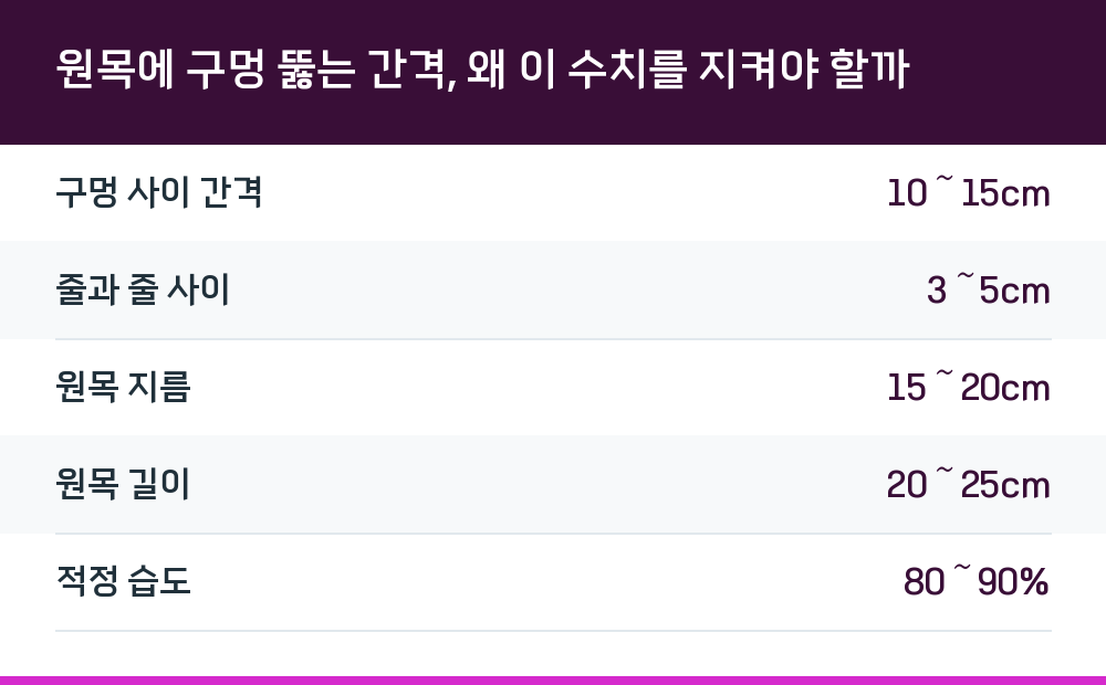 원목에 구멍 뚫는 간격, 왜 이 수치를 지켜야 할까