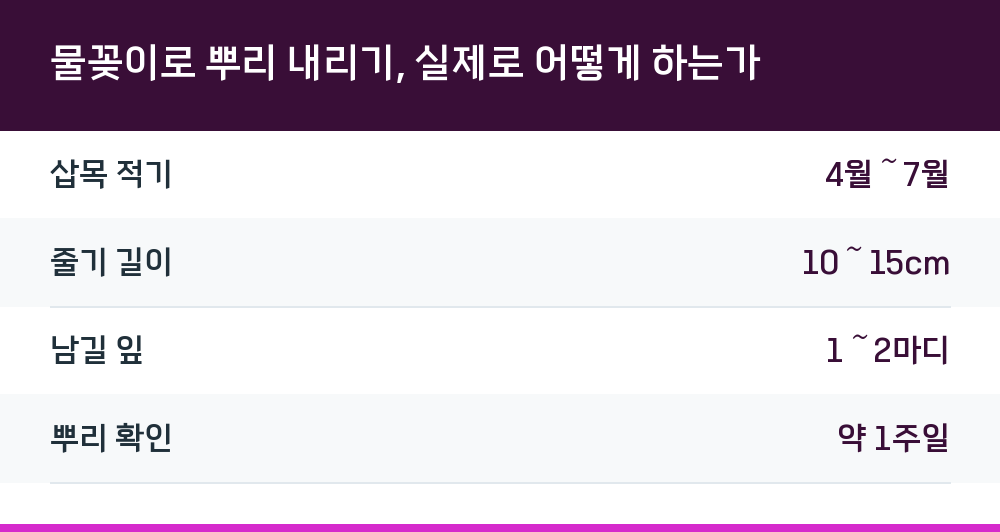 물꽂이로 뿌리 내리기, 실제로 어떻게 하는가