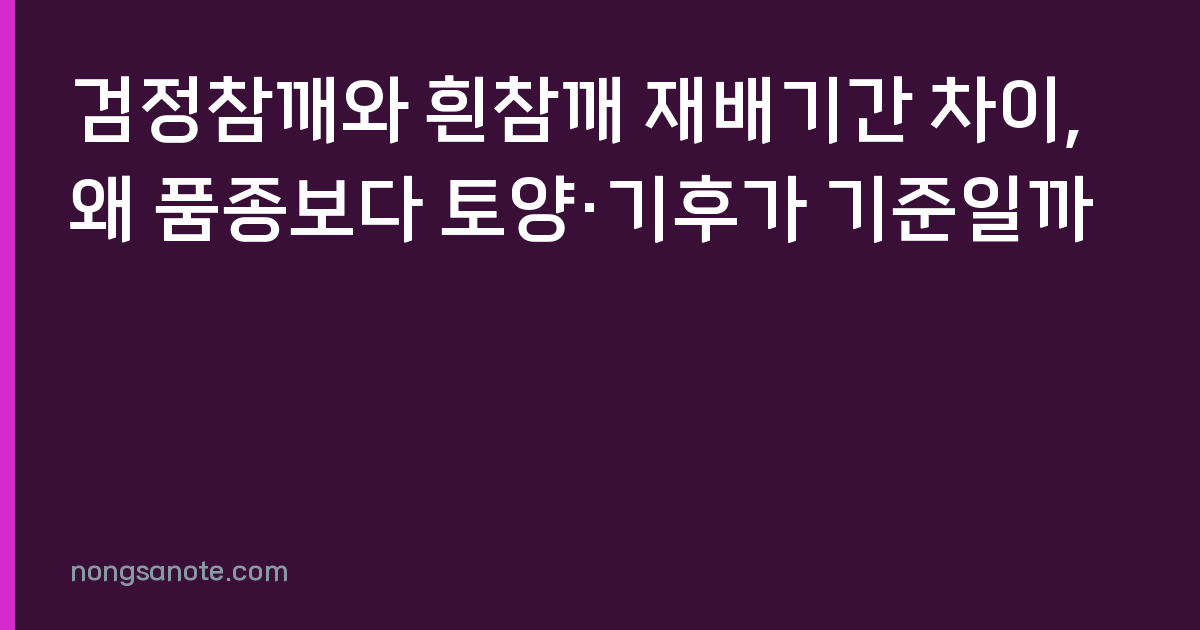 검정참깨와 흰참깨 재배기간 차이, 왜 품종보다 토양·기후가 기준일까