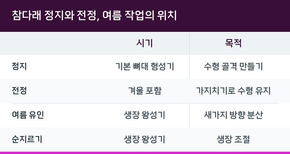 참다래 정지와 전정, 여름 작업의 위치
