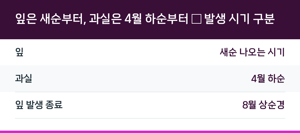 잎은 새순부터, 과실은 4월 하순부터 — 발생 시기 구분