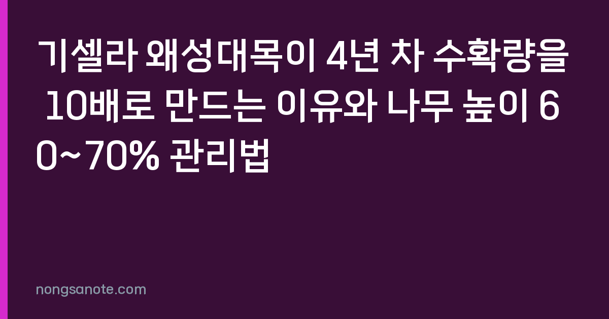 기셀라 왜성대목이 4년 차 수확량을 10배로 만드는 이유와 나무 높이 60~70% 관리법