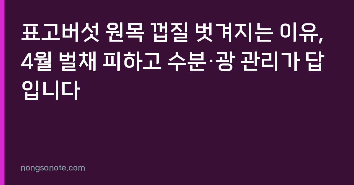 표고버섯 원목 껍질 벗겨지는 이유, 4월 벌채 피하고 수분·광 관리가 답입니다