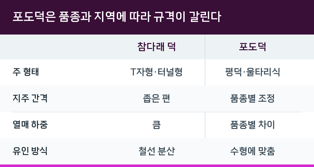 포도덕은 품종과 지역에 따라 규격이 갈린다