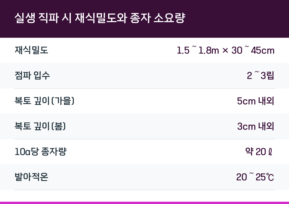 실생 직파 시 재식밀도와 종자 소요량