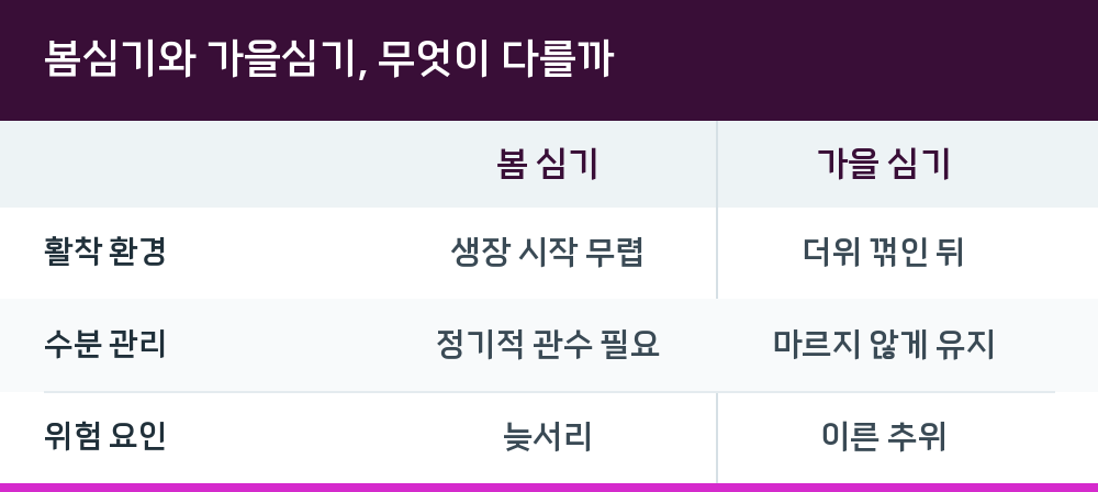 봄심기와 가을심기, 무엇이 다를까