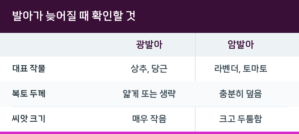 발아가 늦어질 때 확인할 것