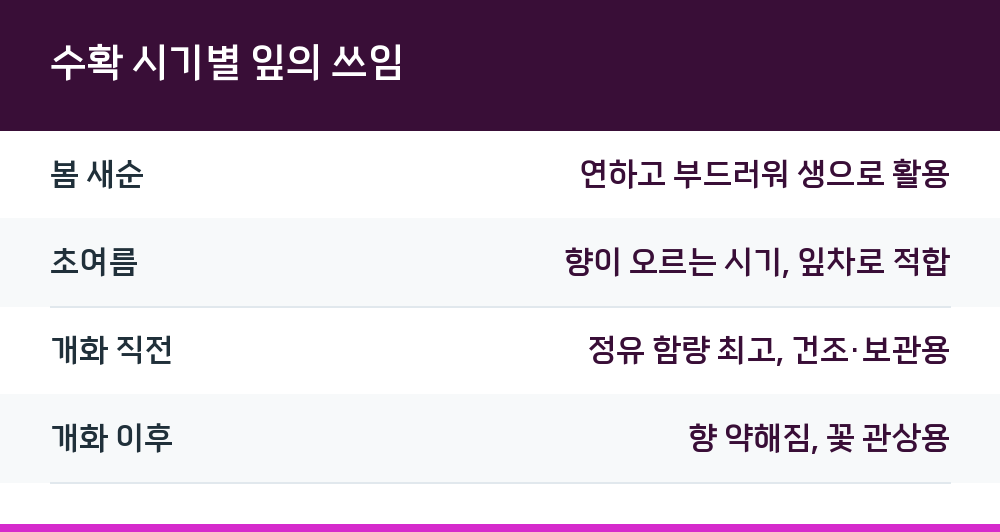 수확 시기별 잎의 쓰임