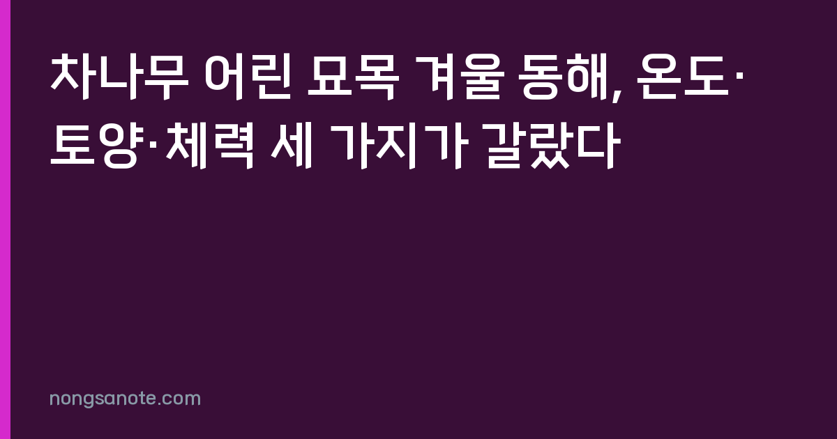 차나무 어린 묘목 겨울 동해, 온도·토양·체력 세 가지가 갈랐다