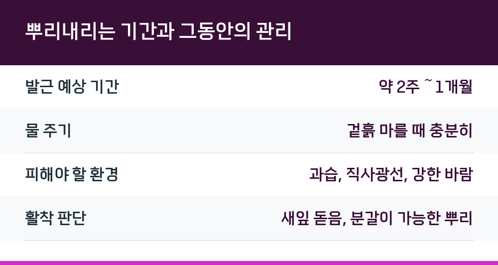 뿌리내리는 기간과 그동안의 관리