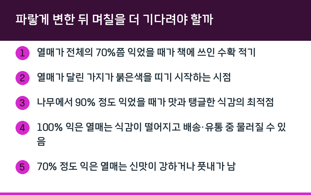 파랗게 변한 뒤 며칠을 더 기다려야 할까