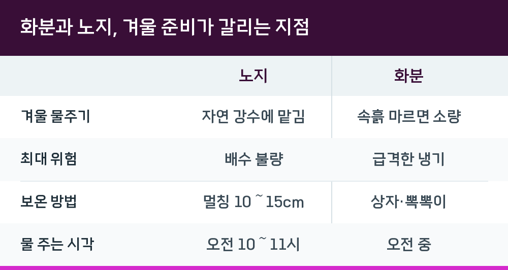 화분과 노지, 겨울 준비가 갈리는 지점