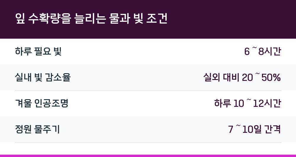 잎 수확량을 늘리는 물과 빛 조건