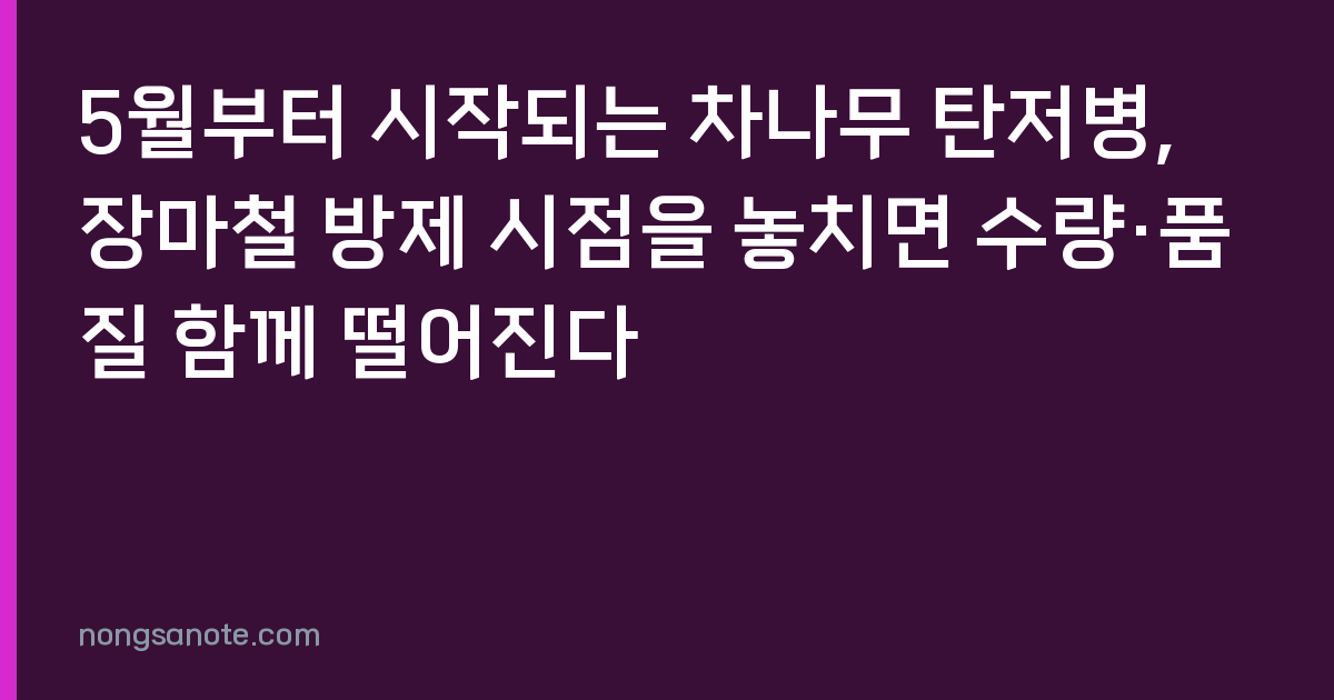 5월부터 시작되는 차나무 탄저병, 장마철 방제 시점을 놓치면 수량·품질 함께 떨어진다