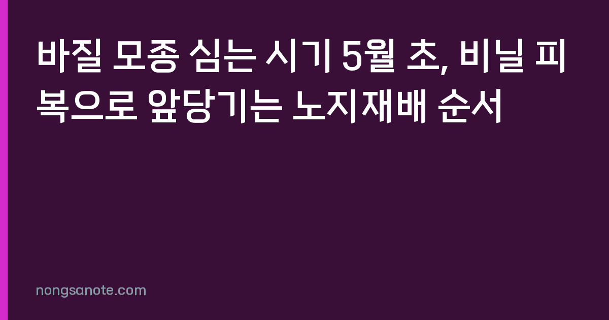 바질 모종 심는 시기 5월 초, 비닐 피복으로 앞당기는 노지재배 순서