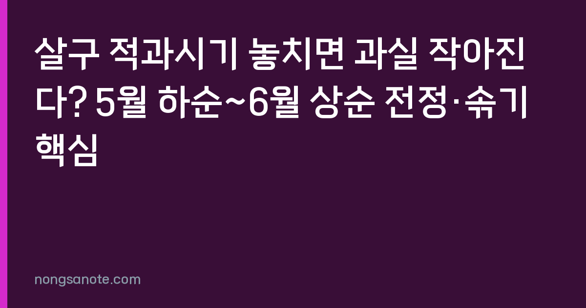 살구 적과시기 놓치면 과실 작아진다? 5월 하순~6월 상순 전정·솎기 핵심