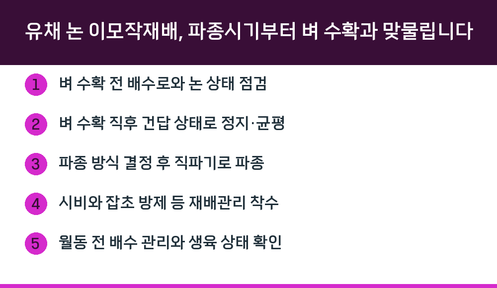 유채 논 이모작재배, 파종시기부터 벼 수확과 맞물립니다