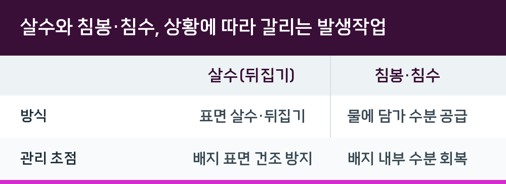 살수와 침봉·침수, 상황에 따라 갈리는 발생작업