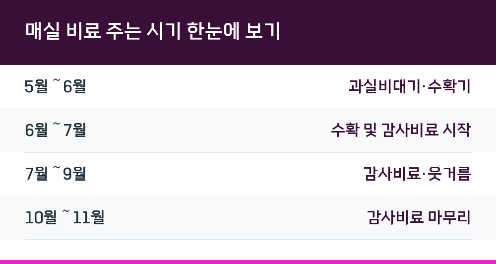매실 비료 주는 시기 한눈에 보기