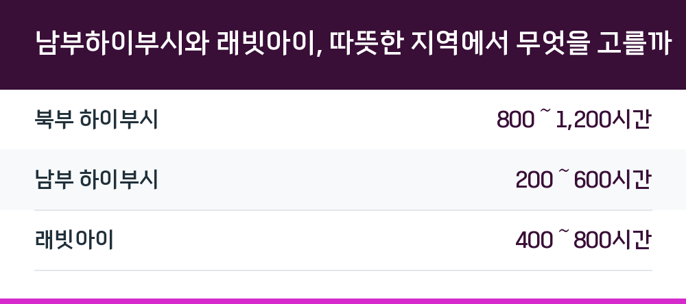 남부하이부시와 래빗아이, 따뜻한 지역에서 무엇을 고를까