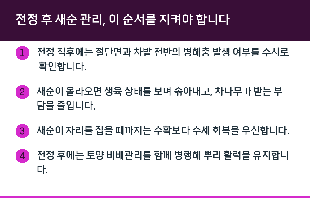 전정 후 새순 관리, 이 순서를 지켜야 합니다