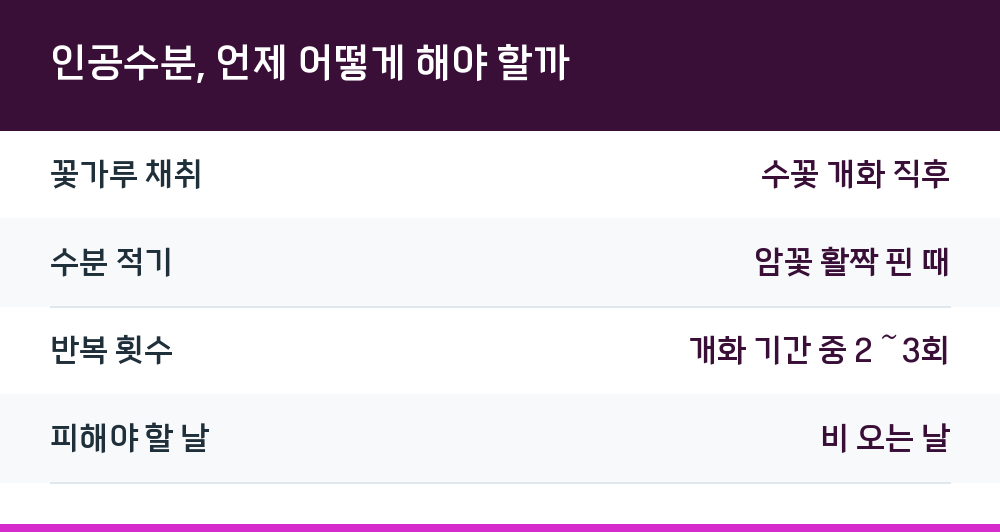 인공수분, 언제 어떻게 해야 할까