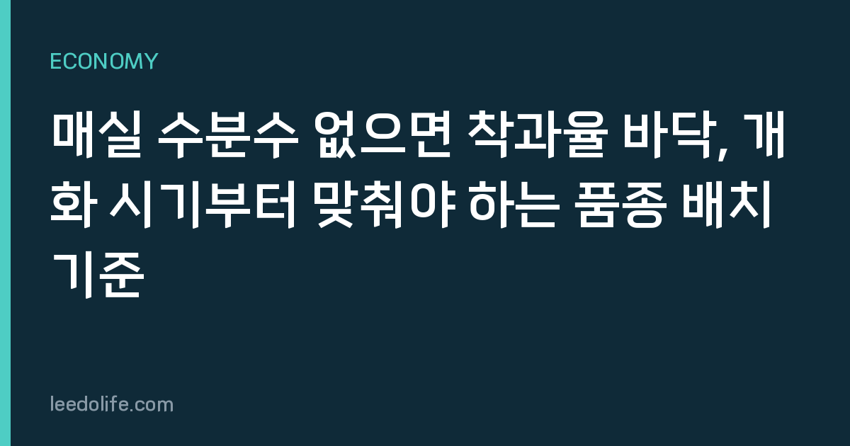 매실 수분수 없으면 착과율 바닥, 개화 시기부터 맞춰야 하는 품종 배치 기준