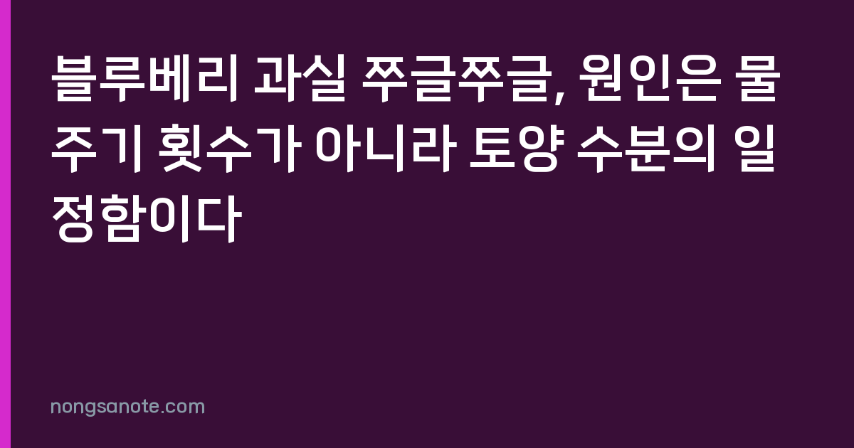 블루베리 과실 쭈글쭈글, 원인은 물 주기 횟수가 아니라 토양 수분의 일정함이다