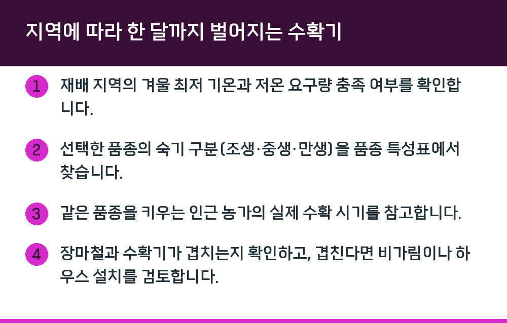 지역에 따라 한 달까지 벌어지는 수확기