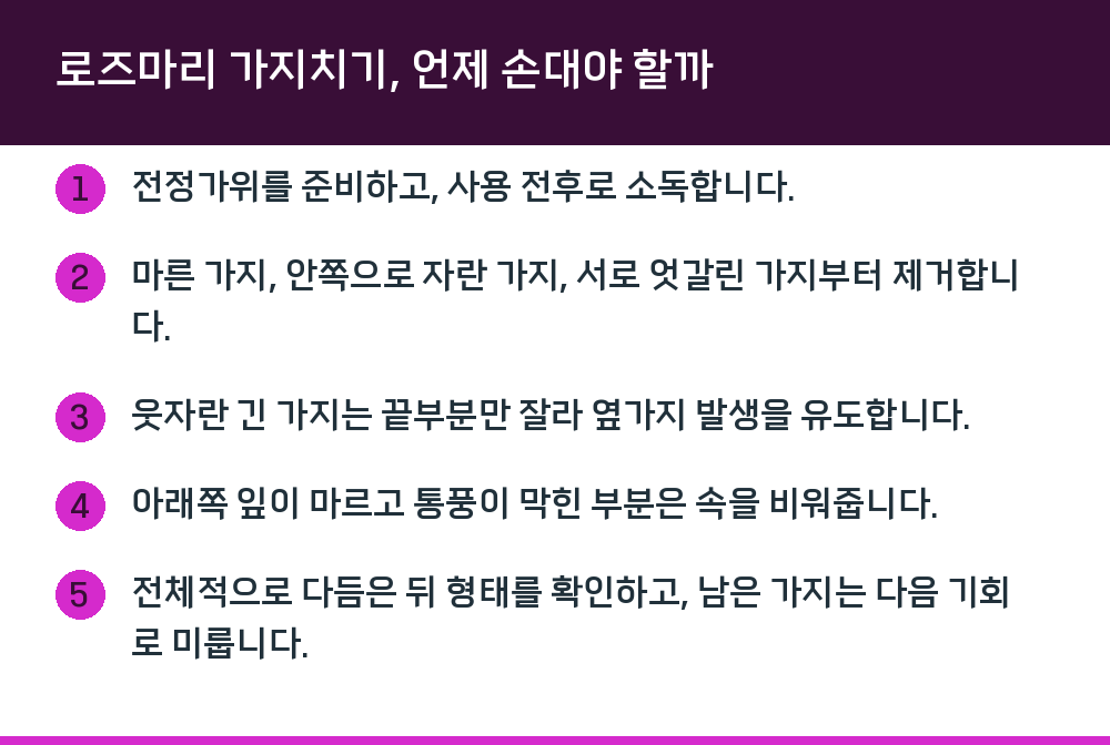 로즈마리 가지치기, 언제 손대야 할까