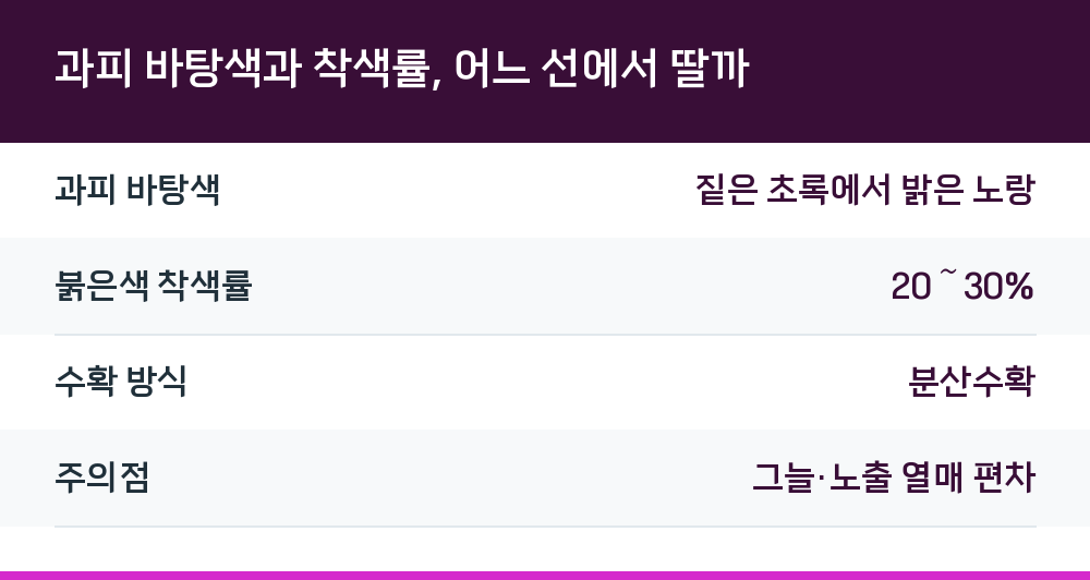 과피 바탕색과 착색률, 어느 선에서 딸까