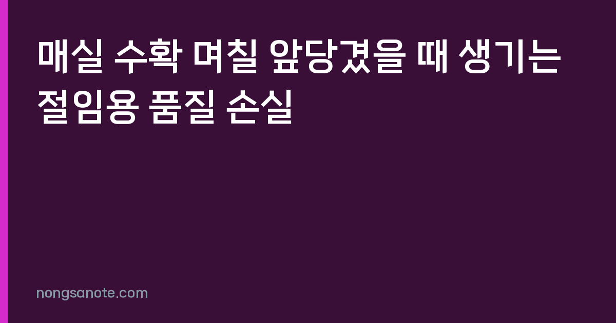 매실 수확 며칠 앞당겼을 때 생기는 절임용 품질 손실