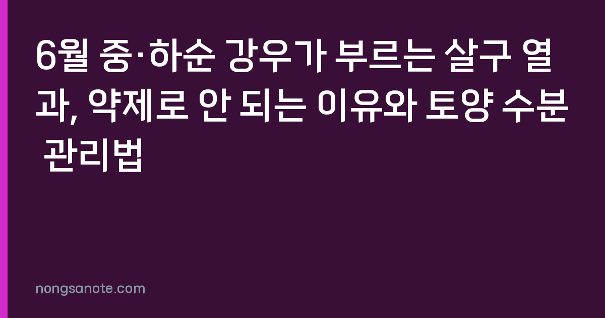 6월 중·하순 강우가 부르는 살구 열과, 약제로 안 되는 이유와 토양 수분 관리법