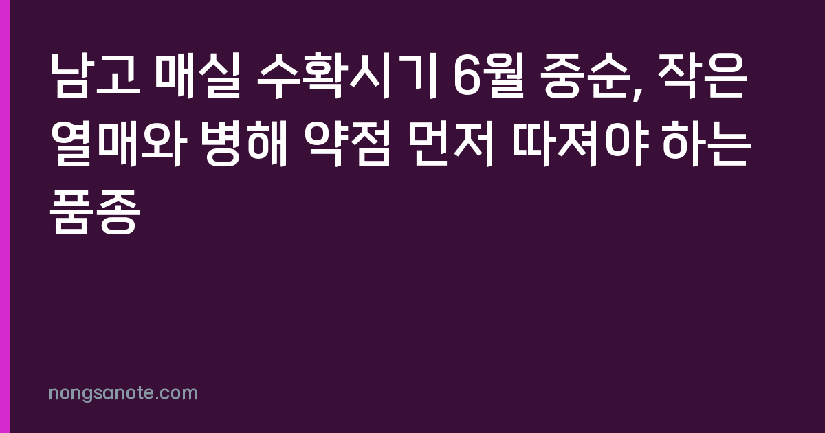 남고 매실 수확시기 6월 중순, 작은 열매와 병해 약점 먼저 따져야 하는 품종