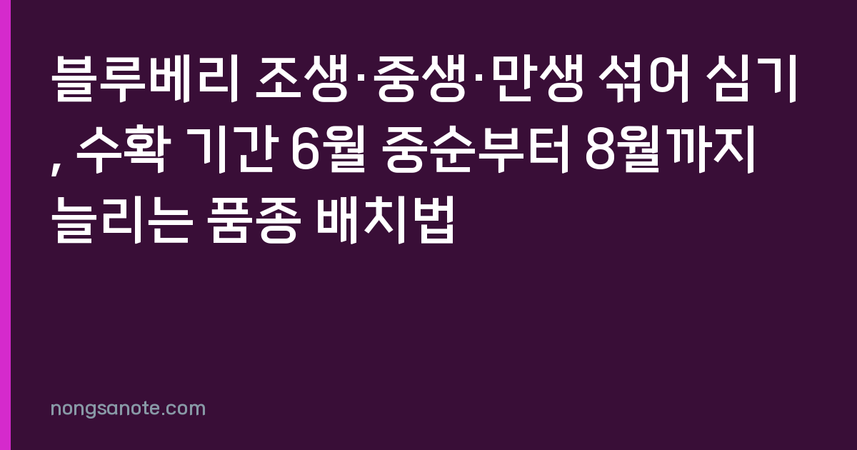 블루베리 조생·중생·만생 섞어 심기, 수확 기간 6월 중순부터 8월까지 늘리는 품종 배치법