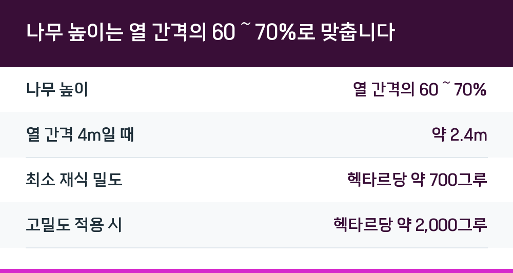 나무 높이는 열 간격의 60~70%로 맞춥니다