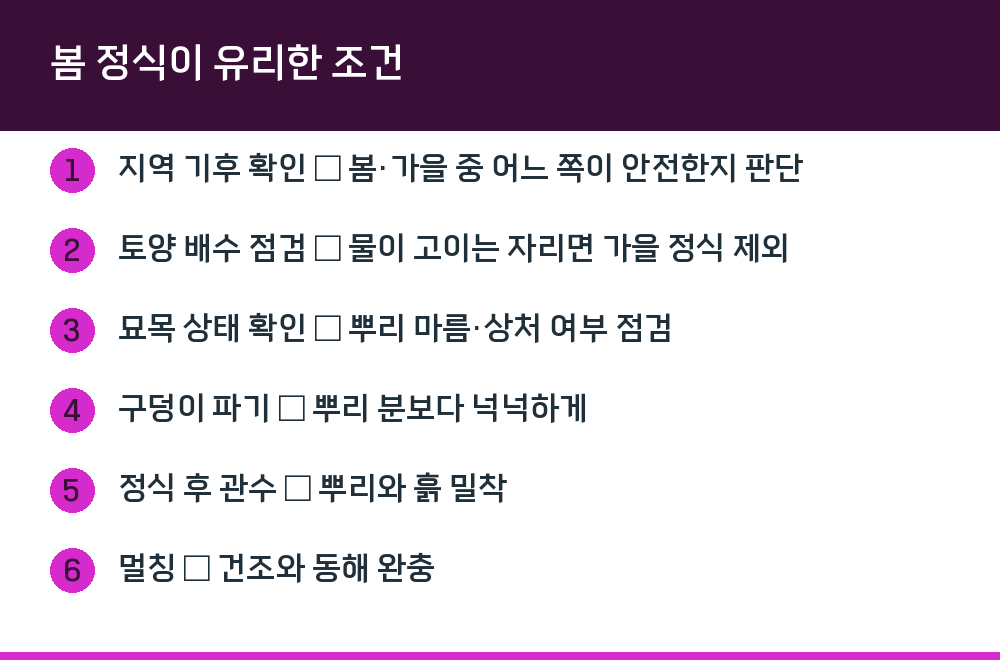 봄 정식이 유리한 조건